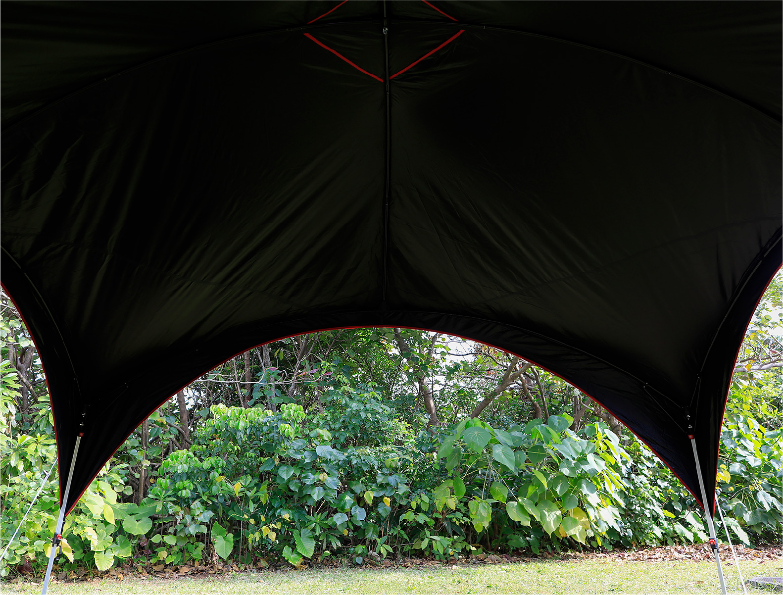 パーティーシェードライト/360+