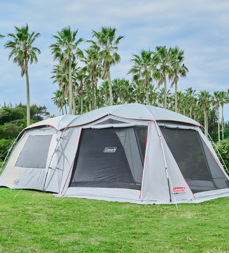 タフスクリーン2ルームエアー/LDX+