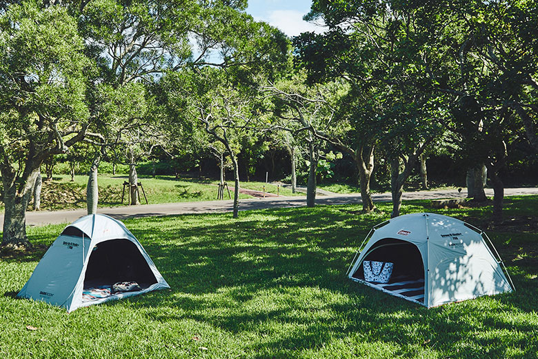 コールマンスタッフおすすめ！ピクニックでくつろぐためのアイテム3選