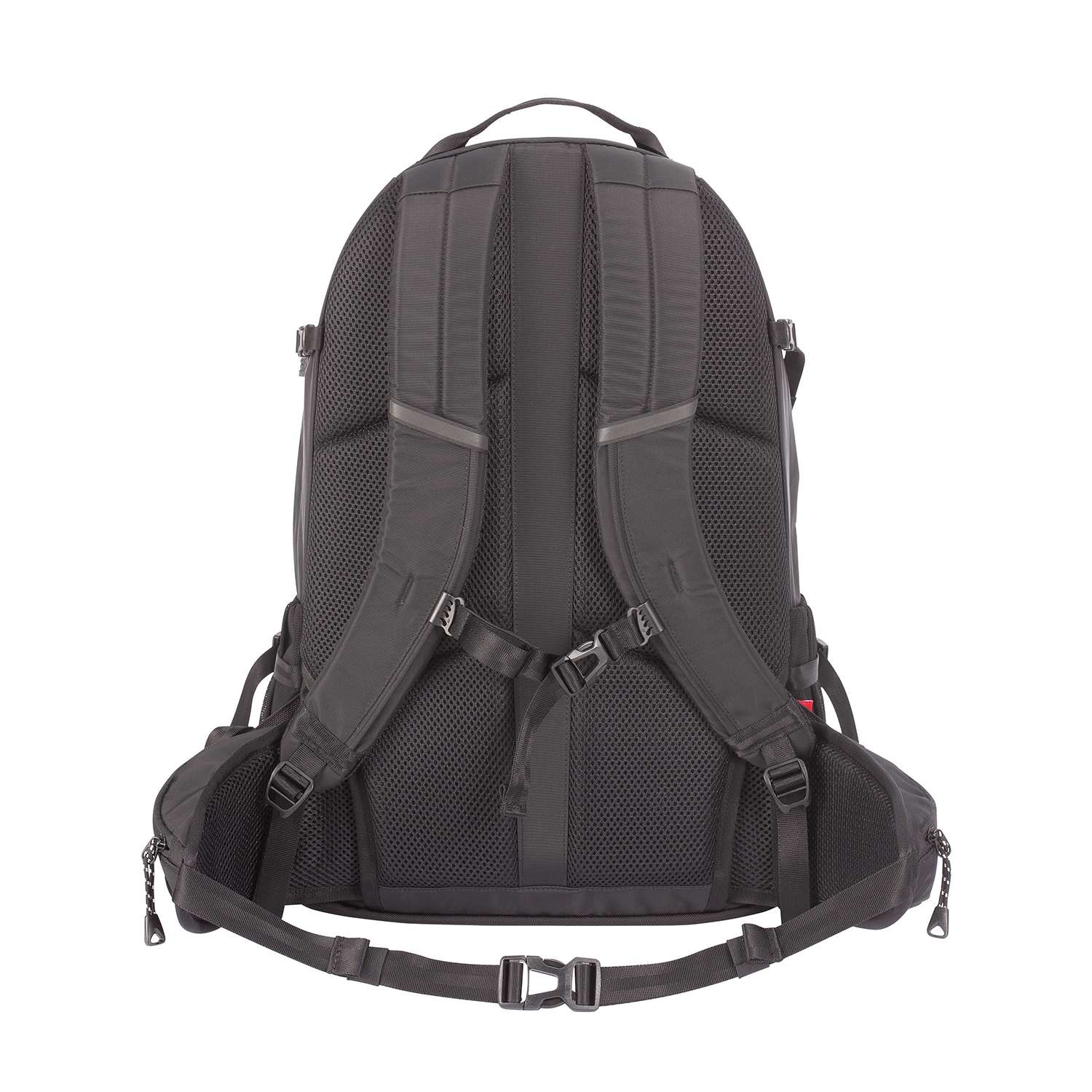 エスリア 30（ブラック）