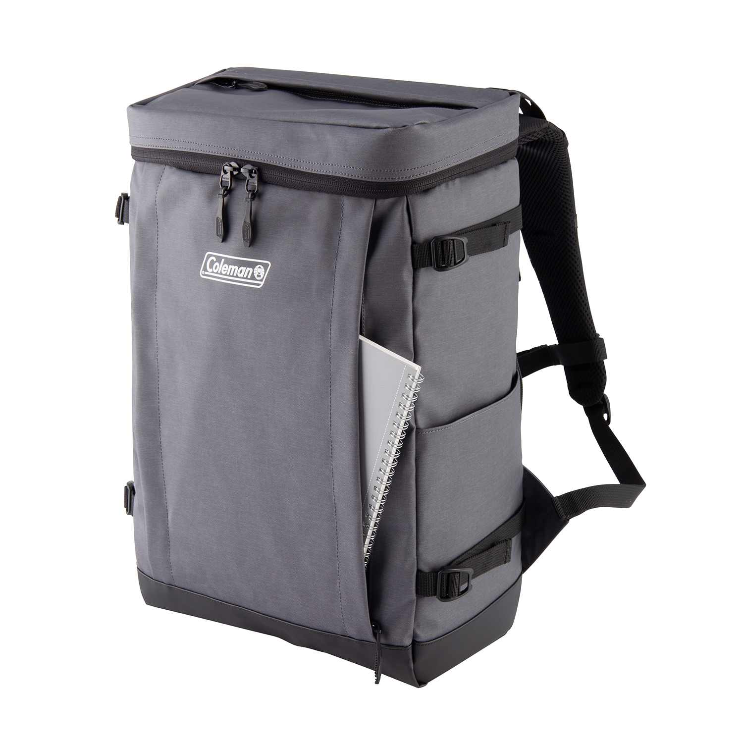 シールド30（マットブラック）