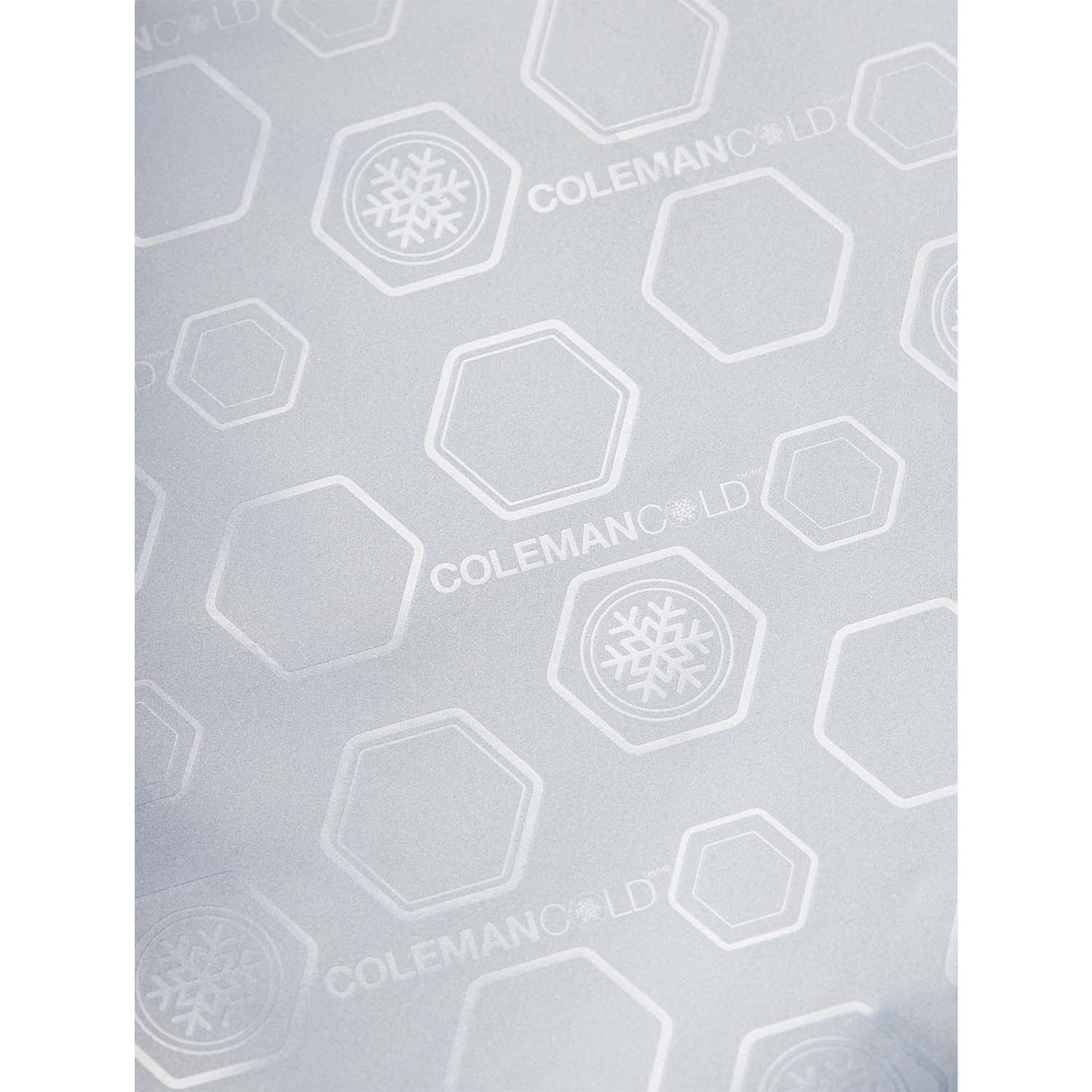 デイリークーラー/30L (ミスト)