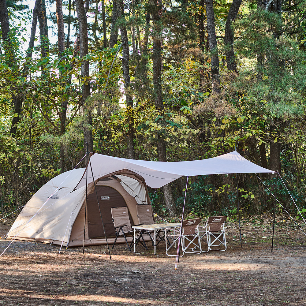 タフドーム Ⅵ/3025（グレージュ）