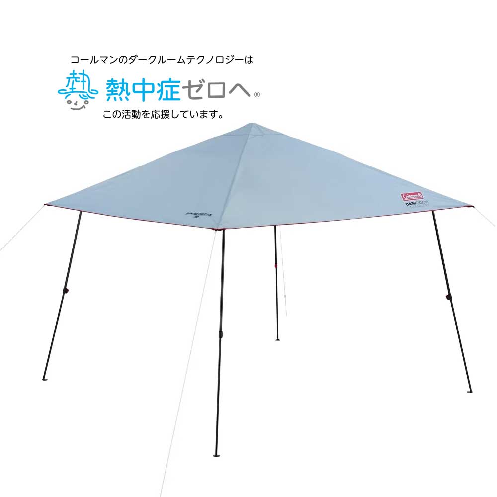 インスタントバイザーシェードIII /L DR