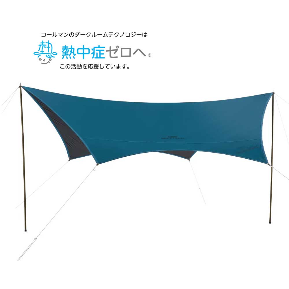 レインカームヘキサライト DR