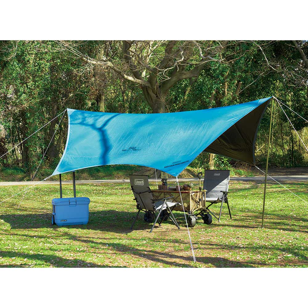 レインカームヘキサライト DR