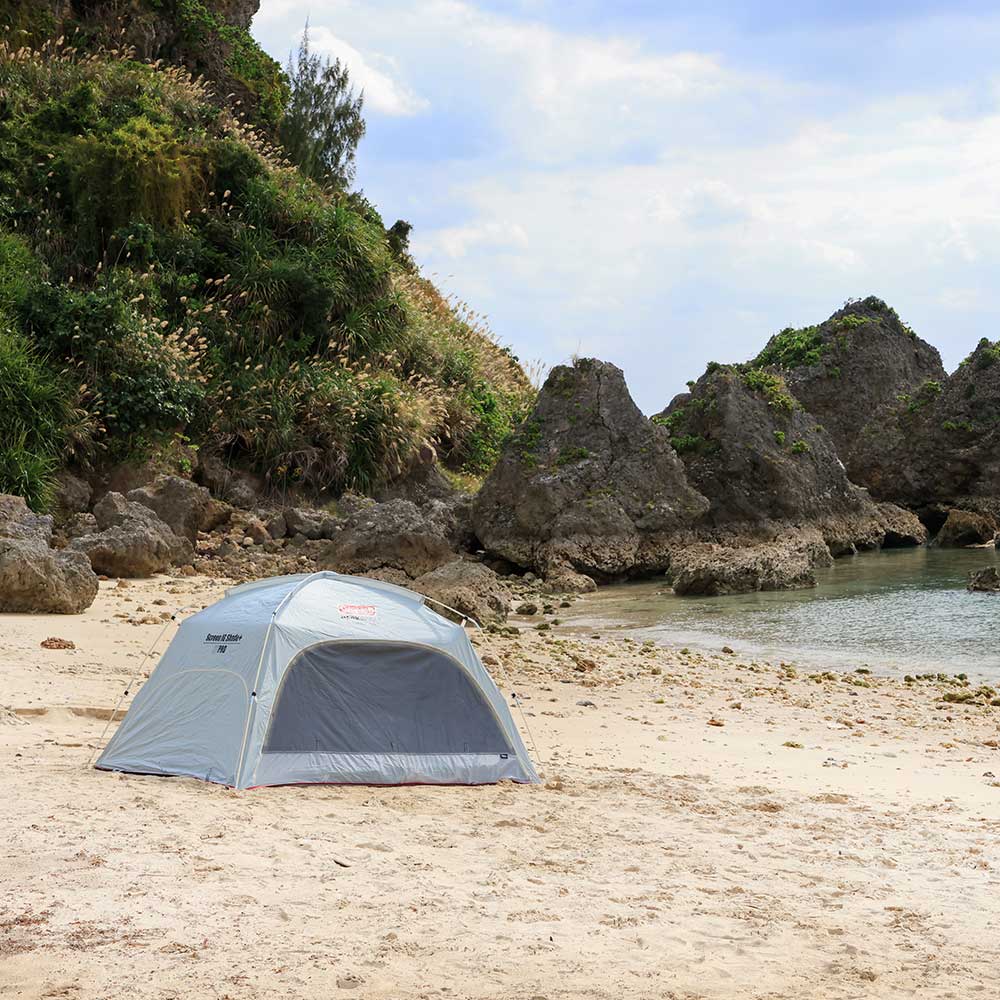 スクリーンシェード DR