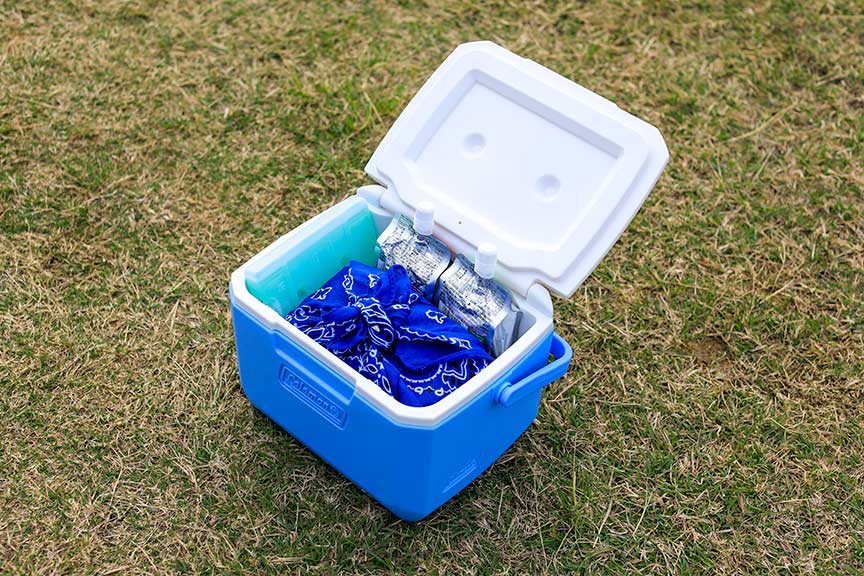 テイク6(グリーン)