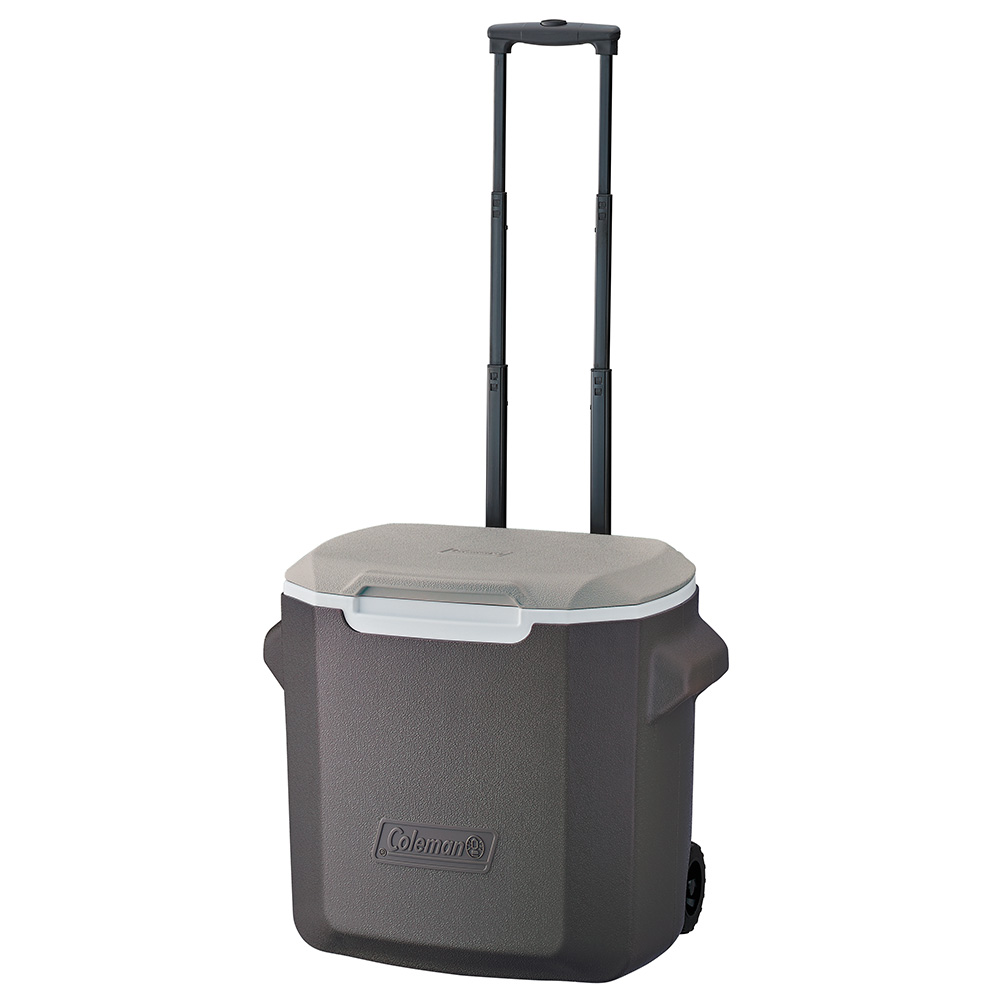 ホイールクーラー/28QT（ライトグレー）