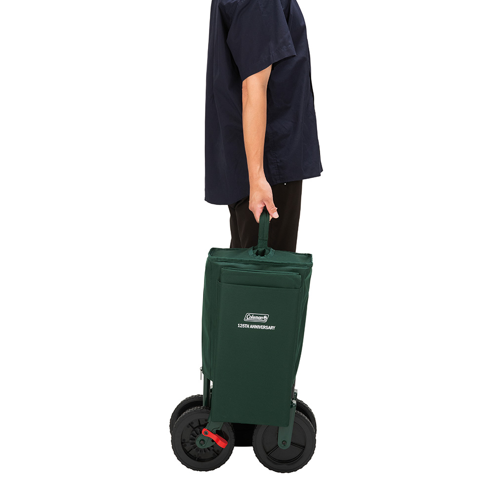 125 リミテッド アウトドアワゴンNX（グリーン）