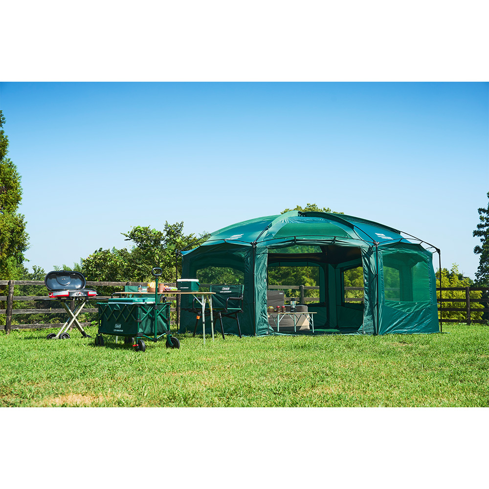 125 リミテッド テイク6(グリーン)