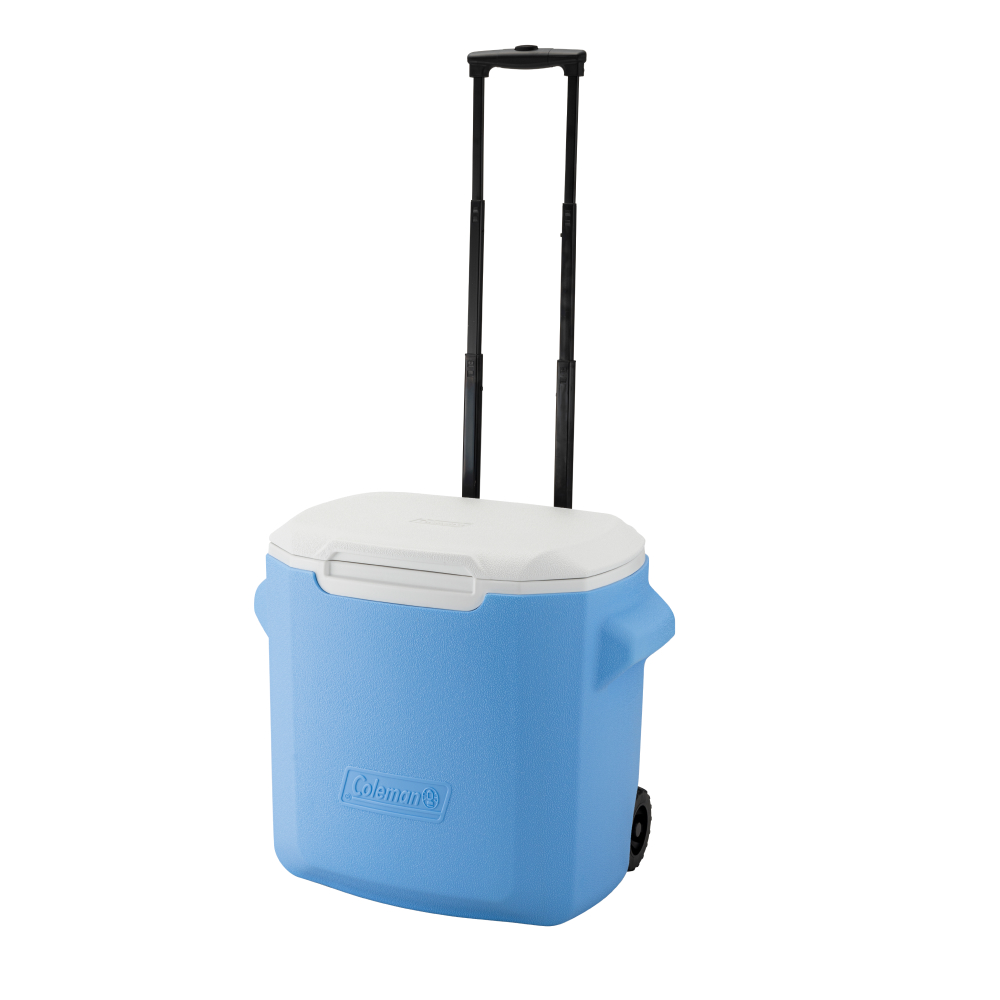 ホイールクーラー/28QT（デイドリーム）