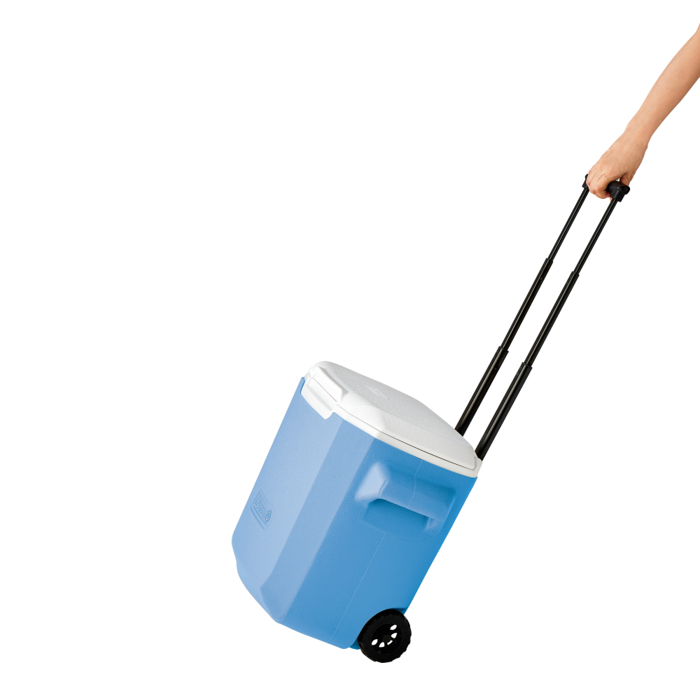 ホイールクーラー/28QT（デイドリーム）