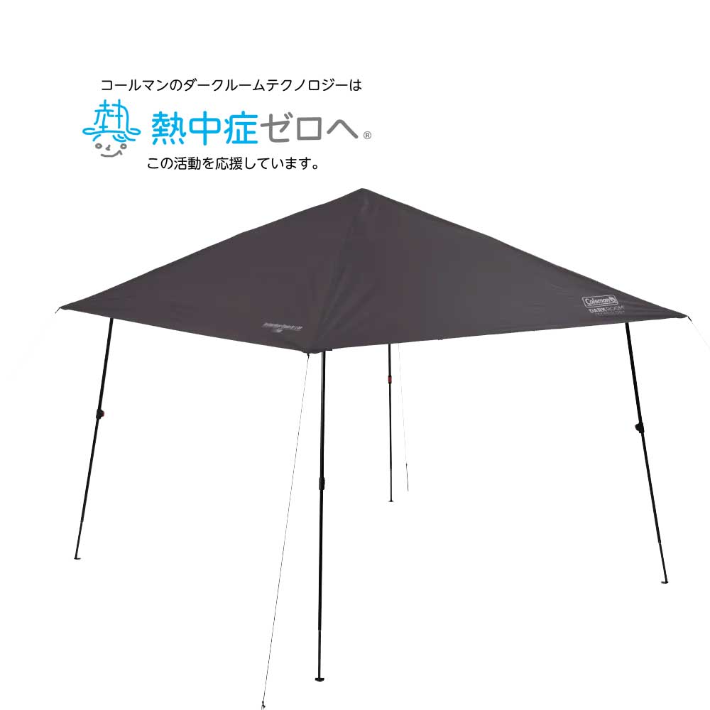 インスタントバイザーシェードⅣ/L DR（ジェットブラック）