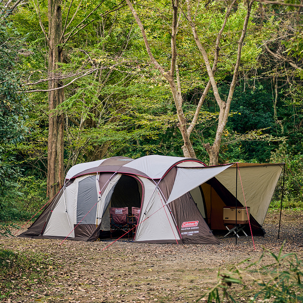 【数量限定】4Ｓワイド2ルームカーブセット